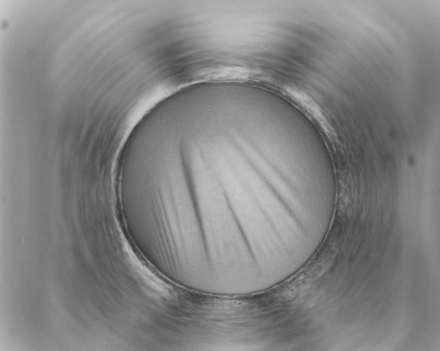 X0000087351475200705111607