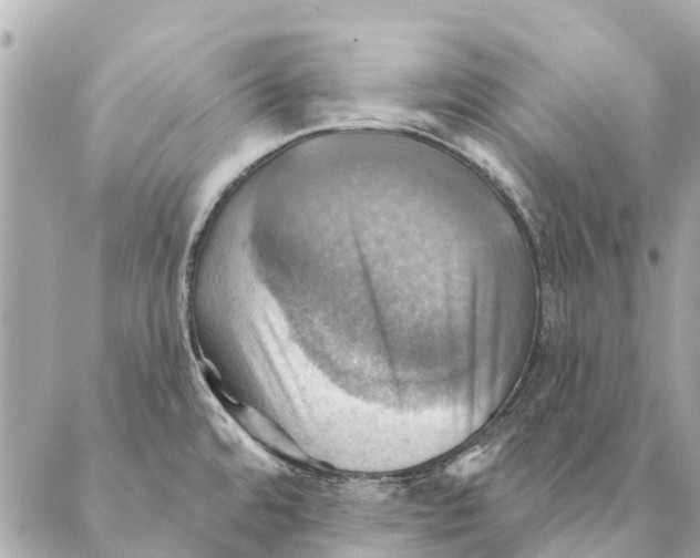 X0000087351480200705111607