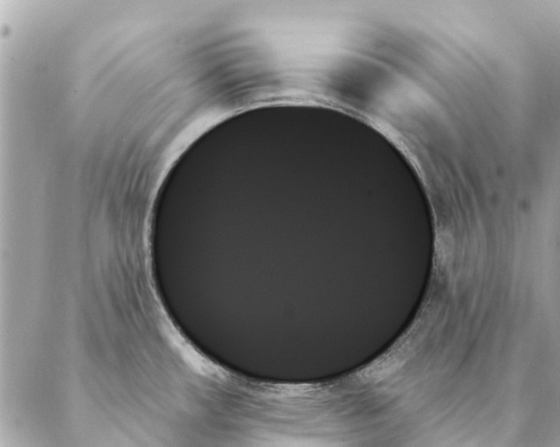 X0000087351482200705111607