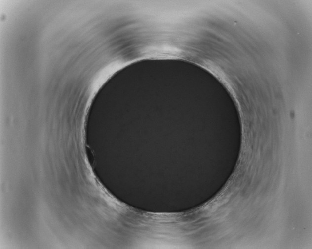 X0000087351488200705111607