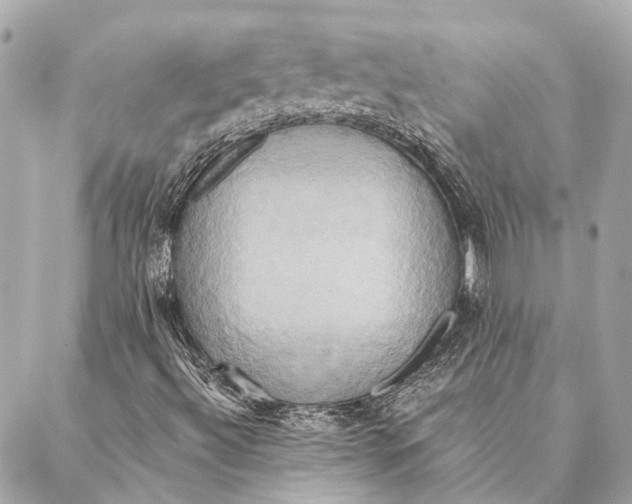 X0000087351492200705111606