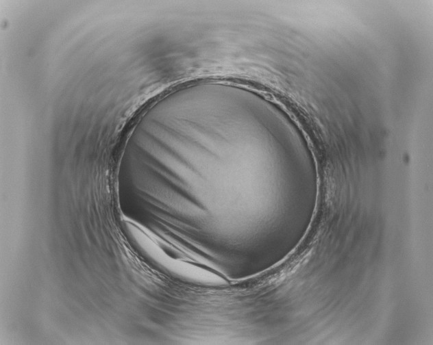 X0000087351497200705111607