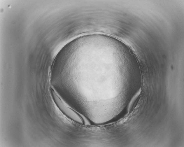 X0000087351524200705111607