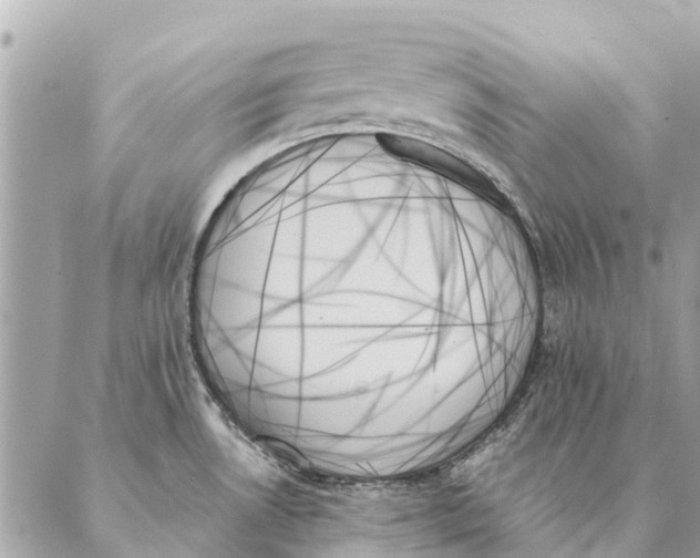X0000087351530200705111607