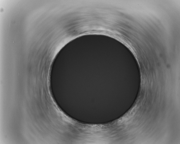 X0000087351533200705111607