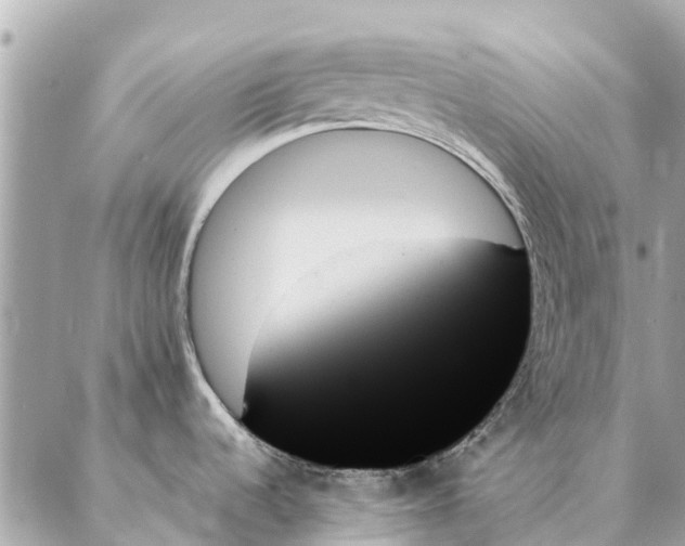 X0000087351536200705111607
