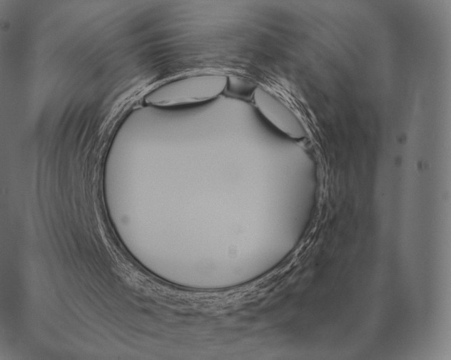 X0000087350001200705181138