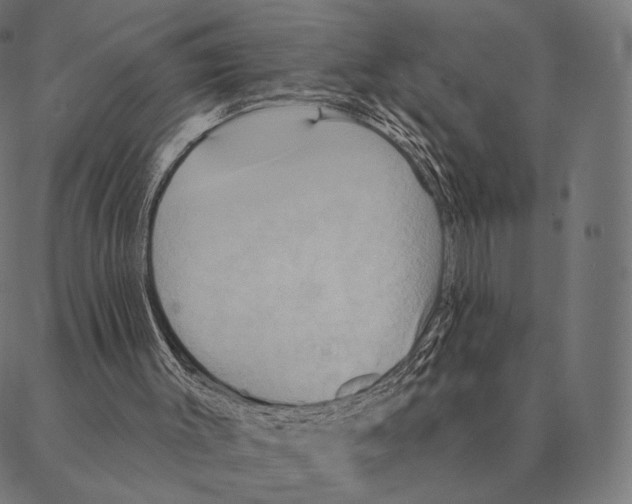 X0000087350003200705181138