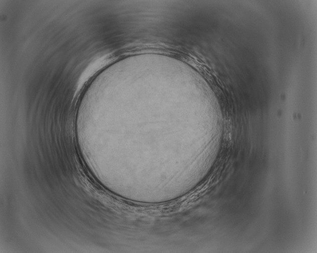 X0000087350004200705181138