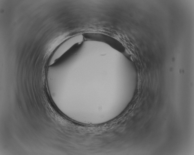 X0000087350005200705181138