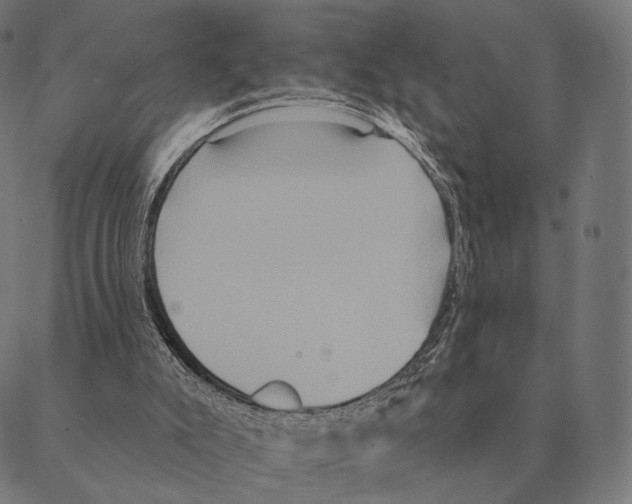 X0000087350007200705181138