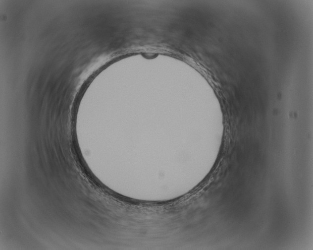 X0000087350008200705181138