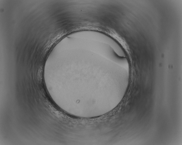 X0000087350009200705181138