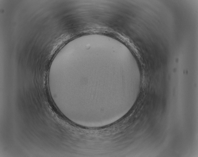 X0000087350010200705181138