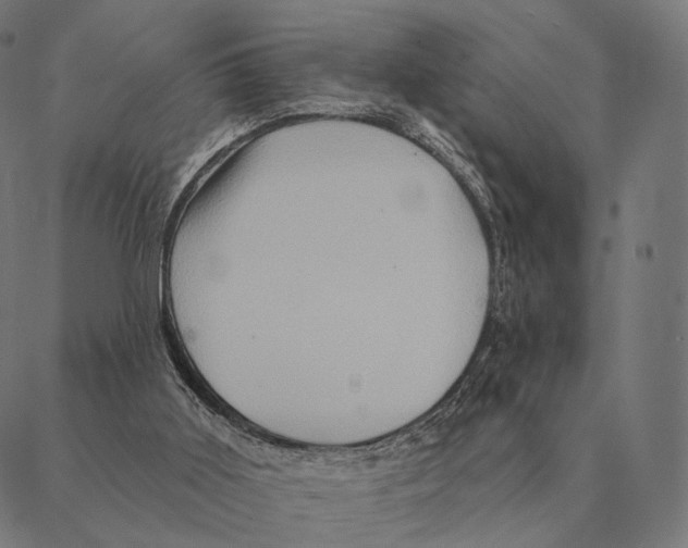 X0000087350011200705181138