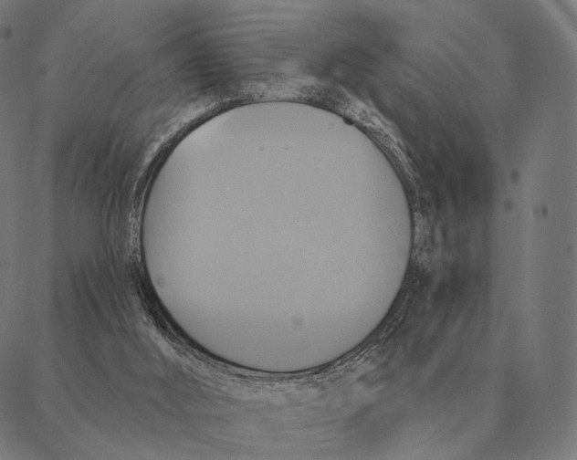 X0000087350012200705181138