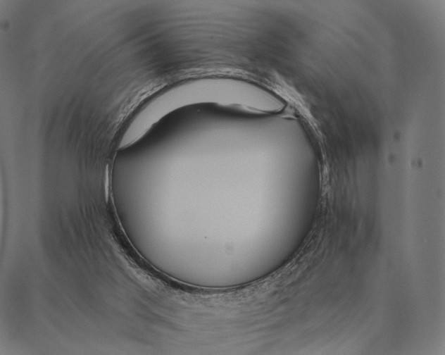 X0000087350013200705181138