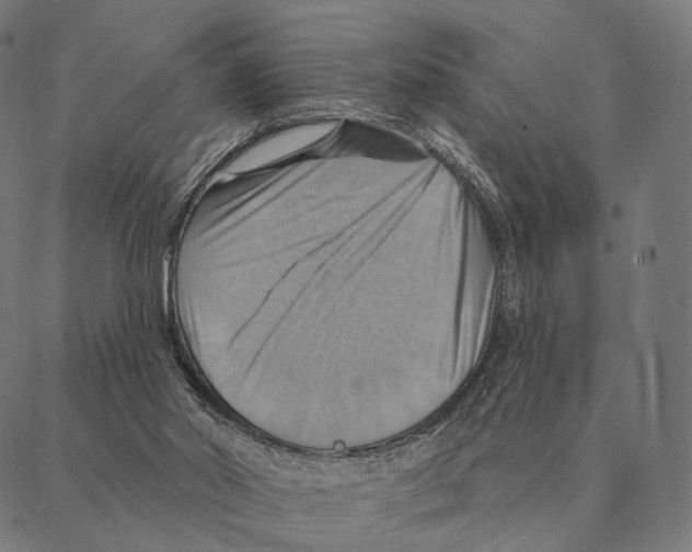 X0000087350014200705181138