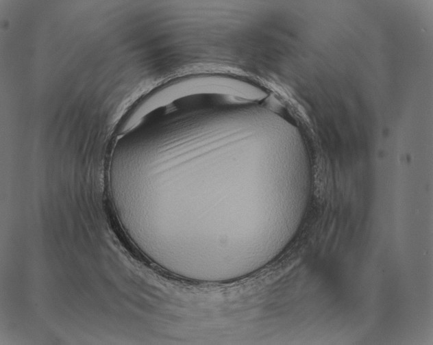 X0000087350015200705181138