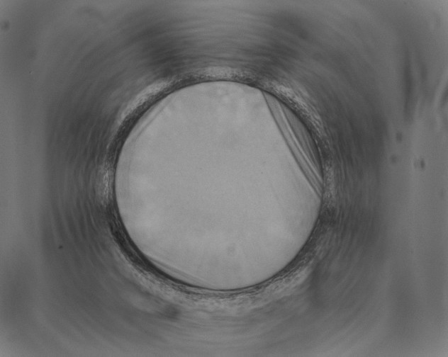 X0000087350016200705181138