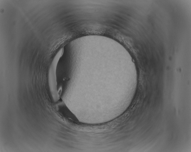 X0000087350017200705181138