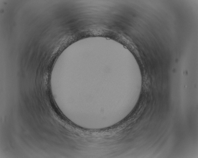 X0000087350018200705181138