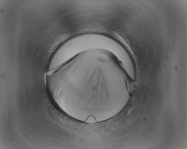 X0000087350019200705181138