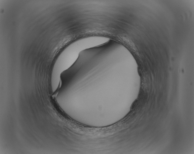 X0000087350023200705181138