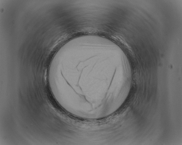 X0000087350024200705181138