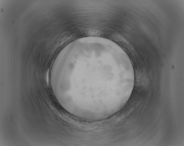 X0000087350028200705181138