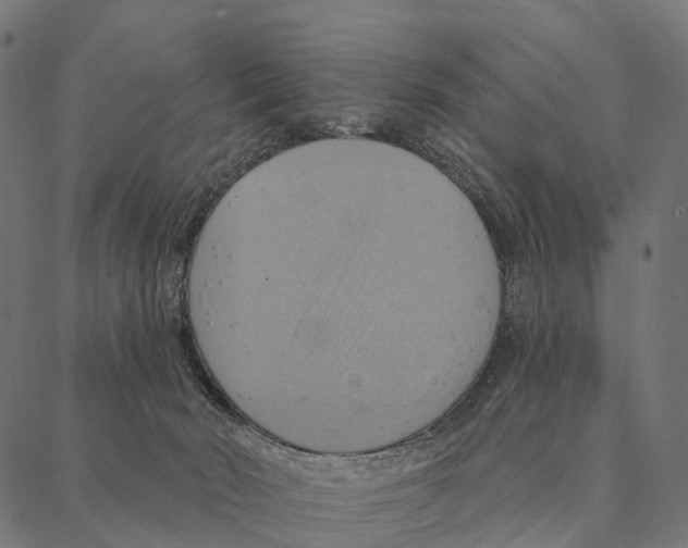 X0000087350030200705181138