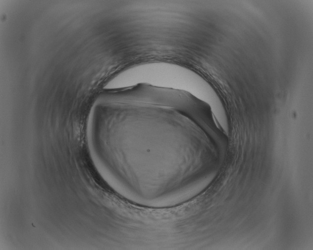 X0000087350031200705181137