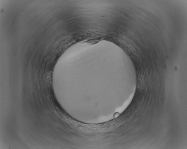 X0000087350034200705181137