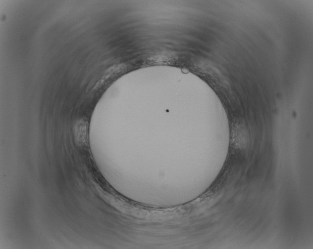 X0000087350036200705181137