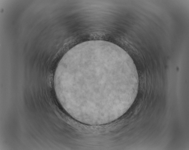 X0000087350038200705181137