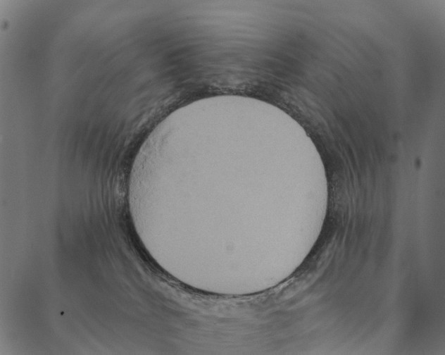 X0000087350040200705181137