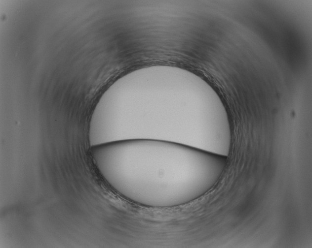 X0000087350041200705181137