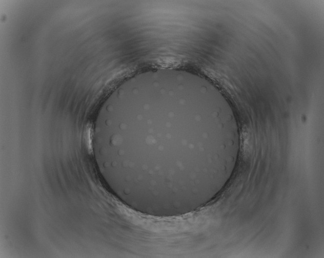 X0000087350042200705181137