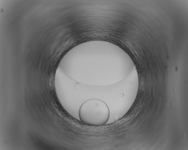 X0000087350044200705181137