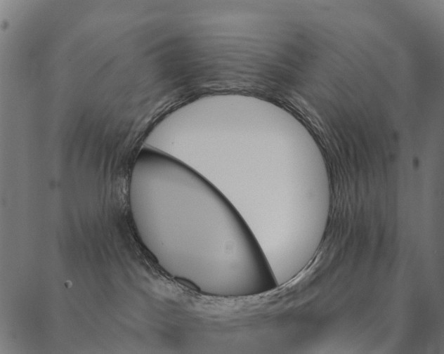 X0000087350045200705181137