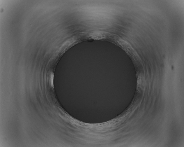 X0000087350046200705181137