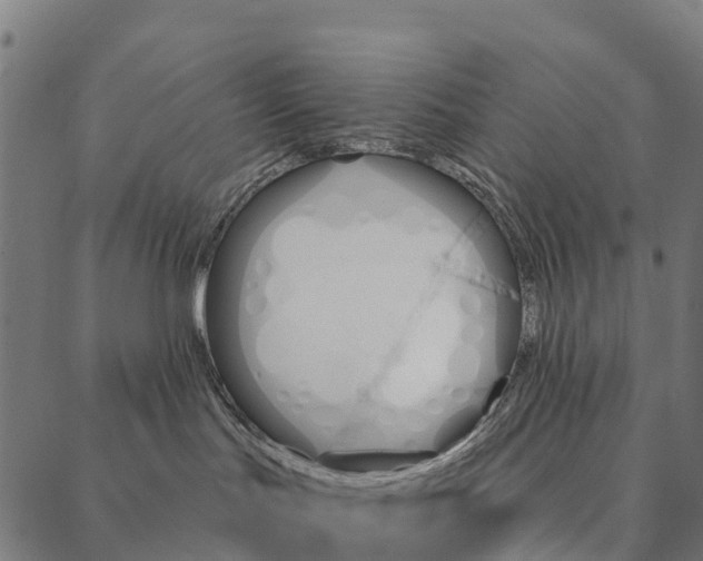 X0000087350047200705181137