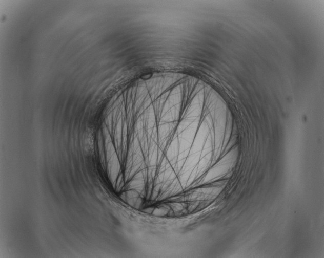 X0000087350048200705181137