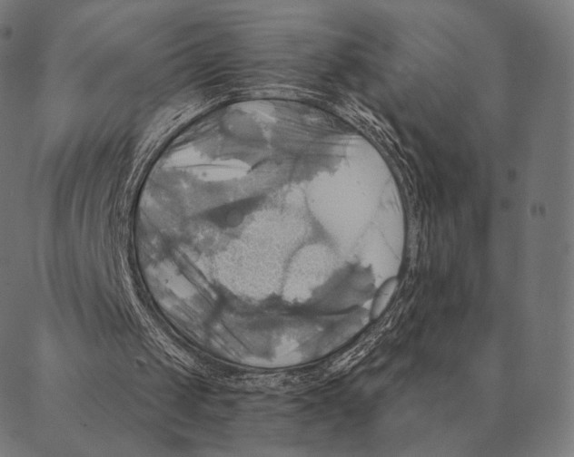 X0000087350049200705181136