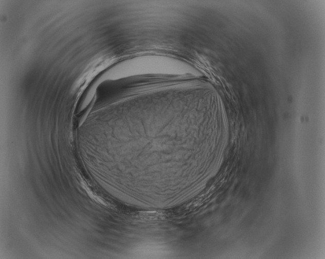 X0000087350050200705181136