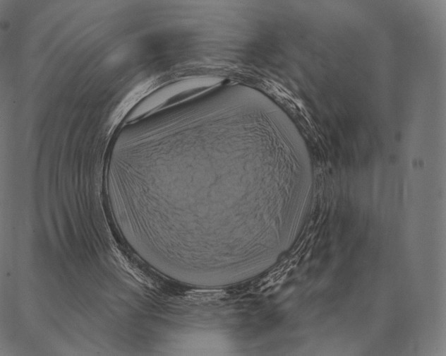 X0000087350051200705181136