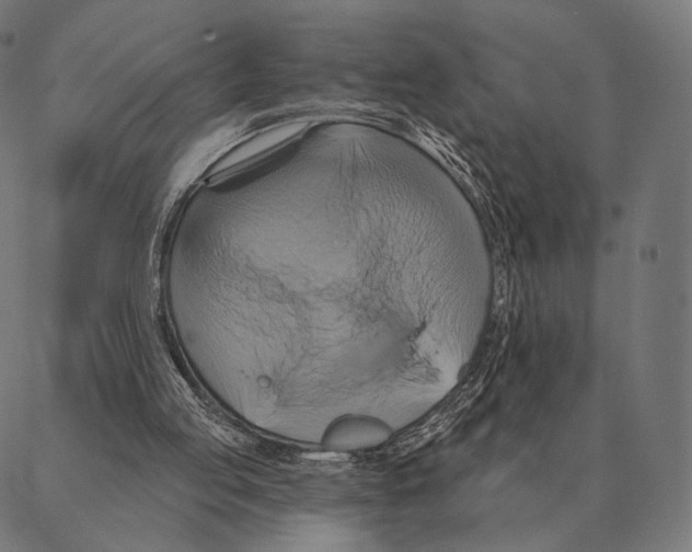 X0000087350053200705181137