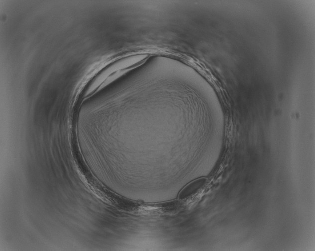 X0000087350055200705181137