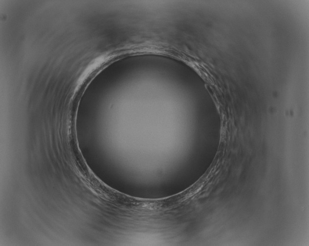 X0000087350056200705181137