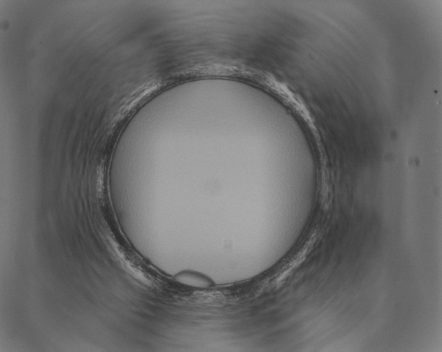 X0000087350057200705181137